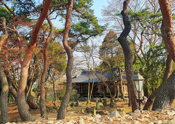 송화댁